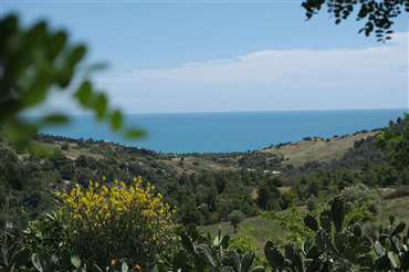 il mare visto dall'Agirutismo