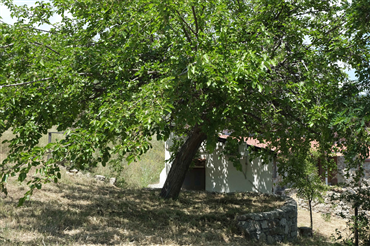 Il Gelso (esterni dell'Agriturismo)