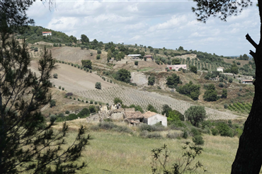 Veduta da contrada Menzinara 